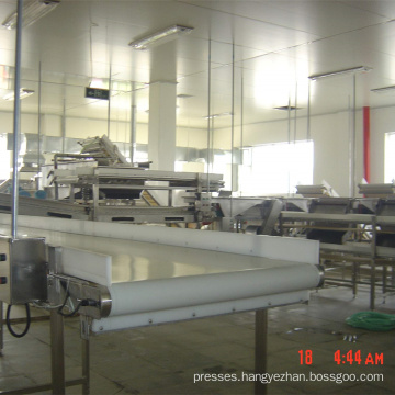 Automatic Fruit and Vegetable Production Line